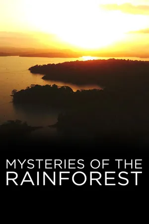 Mysteries of the Rainforest