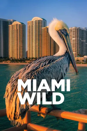 Miami Wild