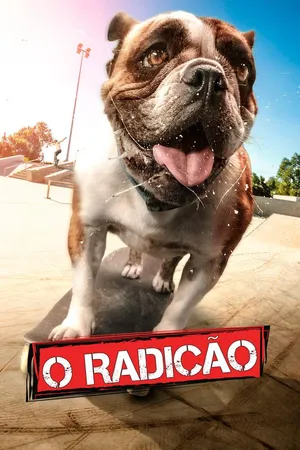 O Radicão