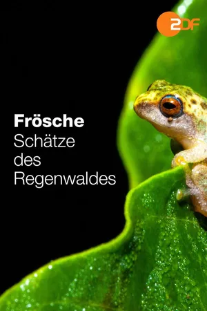 Frösche – Schätze des Regenwaldes