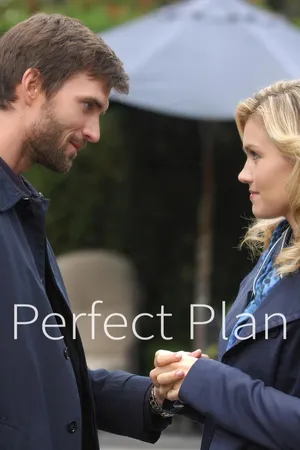 Perfect Plan