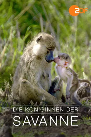 Die Königinnen der Savanne