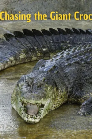 Face au crocodile géant