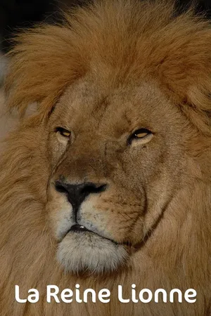 La Reine Lionne FR