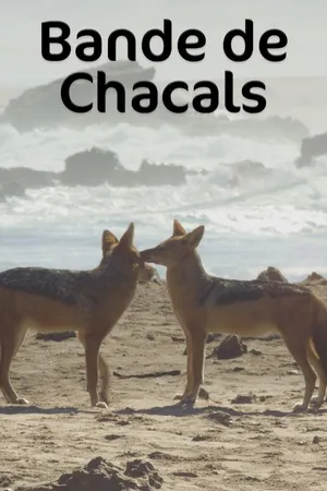 Bande De Chacals FR