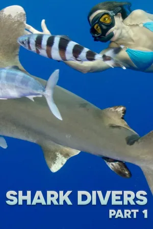 Shark Divers Part 1