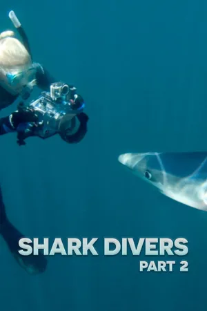 Shark Divers Part 2