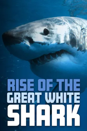 Rise of the Great White Shark