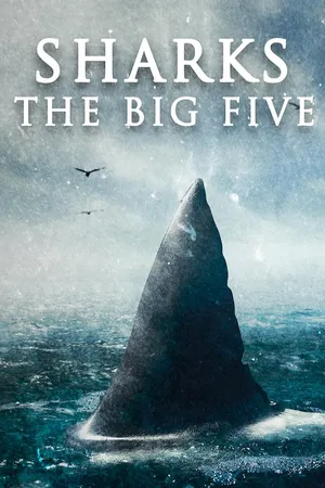 Sharks: The Big Five