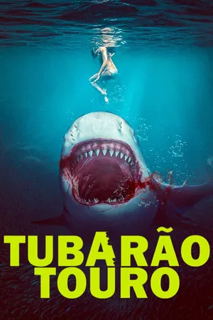 Tubarão Touro
