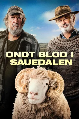 Ondt blod i sauedalen