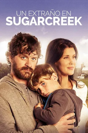 Love Finds You in Sugarcreek