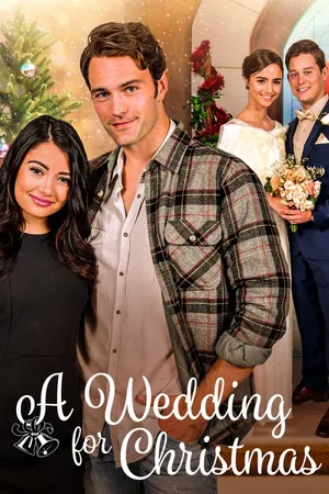 Un matrimonio per Natale