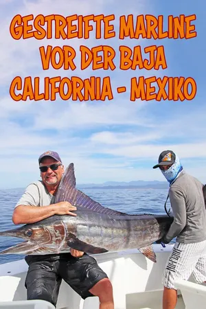 Gestreifte Marline vor der Baja California - Mexiko