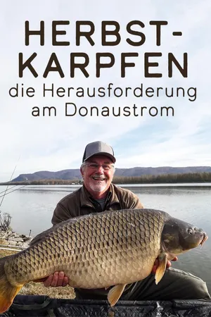 Herbstkarpfen - die Herausforderung am Donaustrom