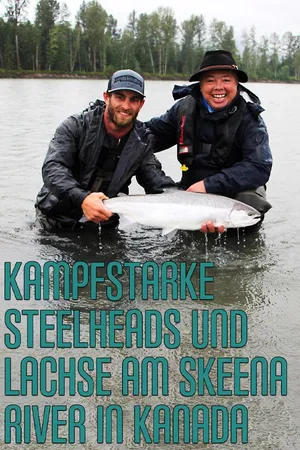 Kampfstarke Steelheads und Lachse am Skeena River in Kanada