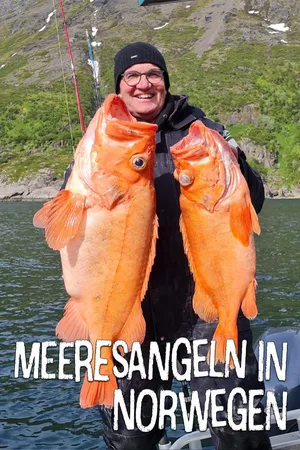 Meeresangeln in Norwegen - Fischen mit Stein als Gewicht