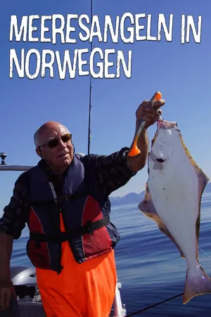 Meeresangeln in Norwegen - Schleppen mit schweren Shad's