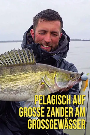 Pelagisch auf Große Zander am Großgewässer