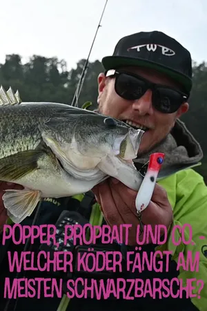 Popper, Propbait und Co. - Welcher Köder fängt am meisten Schwarzbarsche?