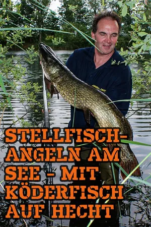Stellfischangeln am See - Mit Köderfisch auf Hecht