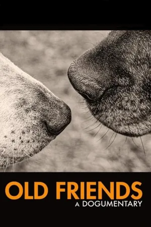 Old Friends: A Dogumentary