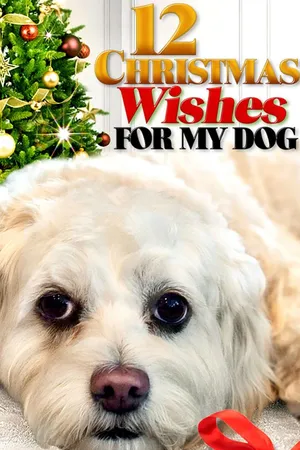 12 deseos para Navidad