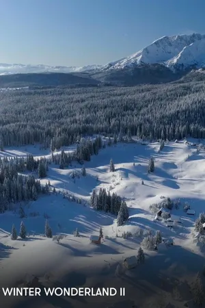 Winter Wonderland II