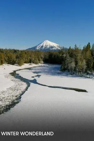 Winter Wonderland (Music)