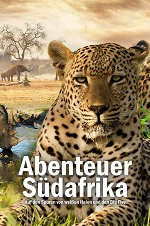 Abenteuer Südafrika: Auf den Spuren von weißen Haien und den Big Five