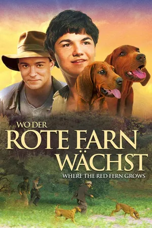 Wo der rote Farn wächst - Where the Red Fern grows