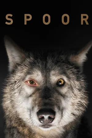 Spoor