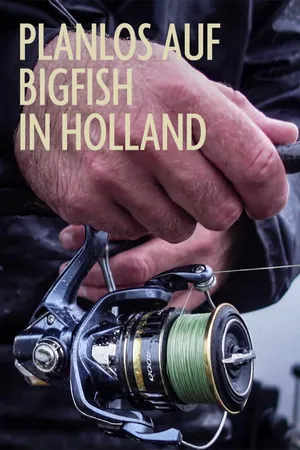 Planlos auf Bigfish in Holland