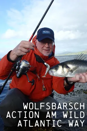Wolfsbarsch Action am Wild Atlantic Way