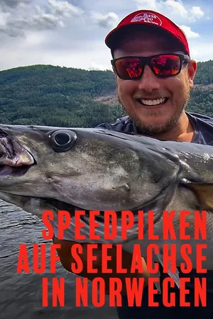 Speedpilken auf Seelachse in Norwegen