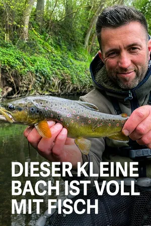 Dieser kleine Bach ist voll mit Fisch