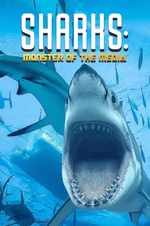 Sharks: Monster of the Media