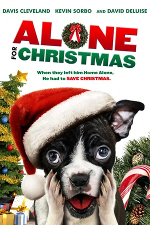Alone for Christmas