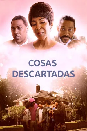 Cosas Descartadas