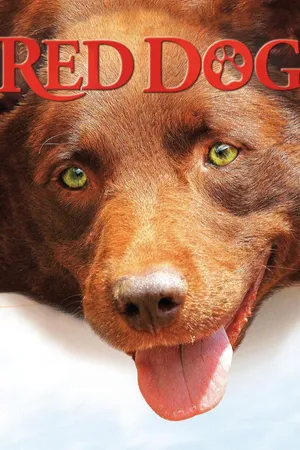 Red Dog L'inizio