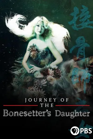 Journey of the Bonesetter's Daughter