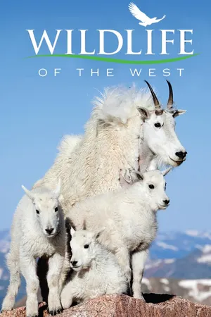 Wildlife Of The West