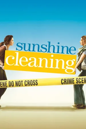 Sunshine Cleaning