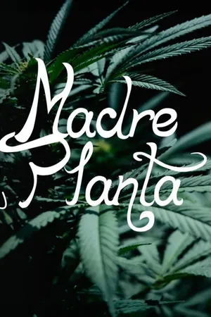 Madre planta