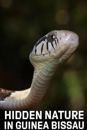 Hidden Nature in Guinea Bissau