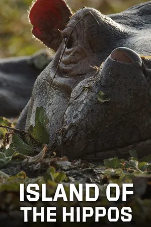 Island of the Hippos