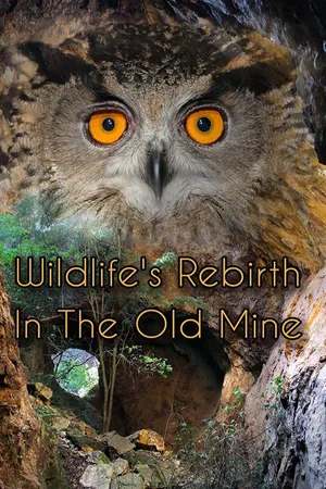 Wildlife Rebirth in the Old Mine