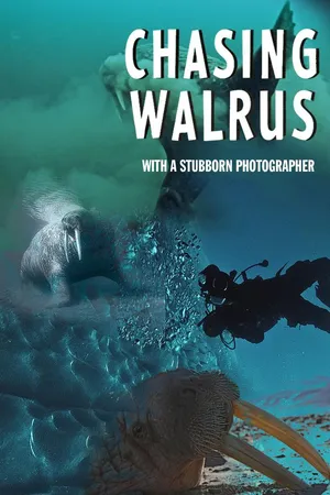 Chasing Walrus (With A Stubborn Photographer)