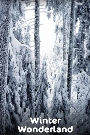 Winter Wonderland
