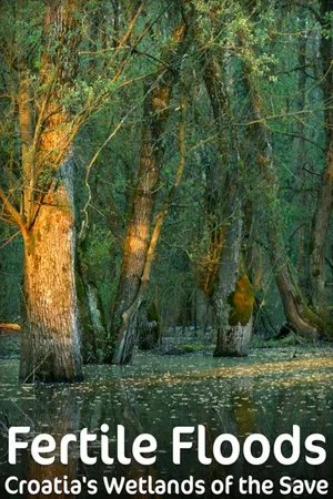 Fertile Floods - Croatia's Wetlands of the Save